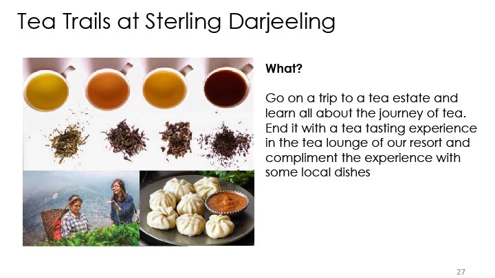 Tea Trails at Sterling Darjeeling